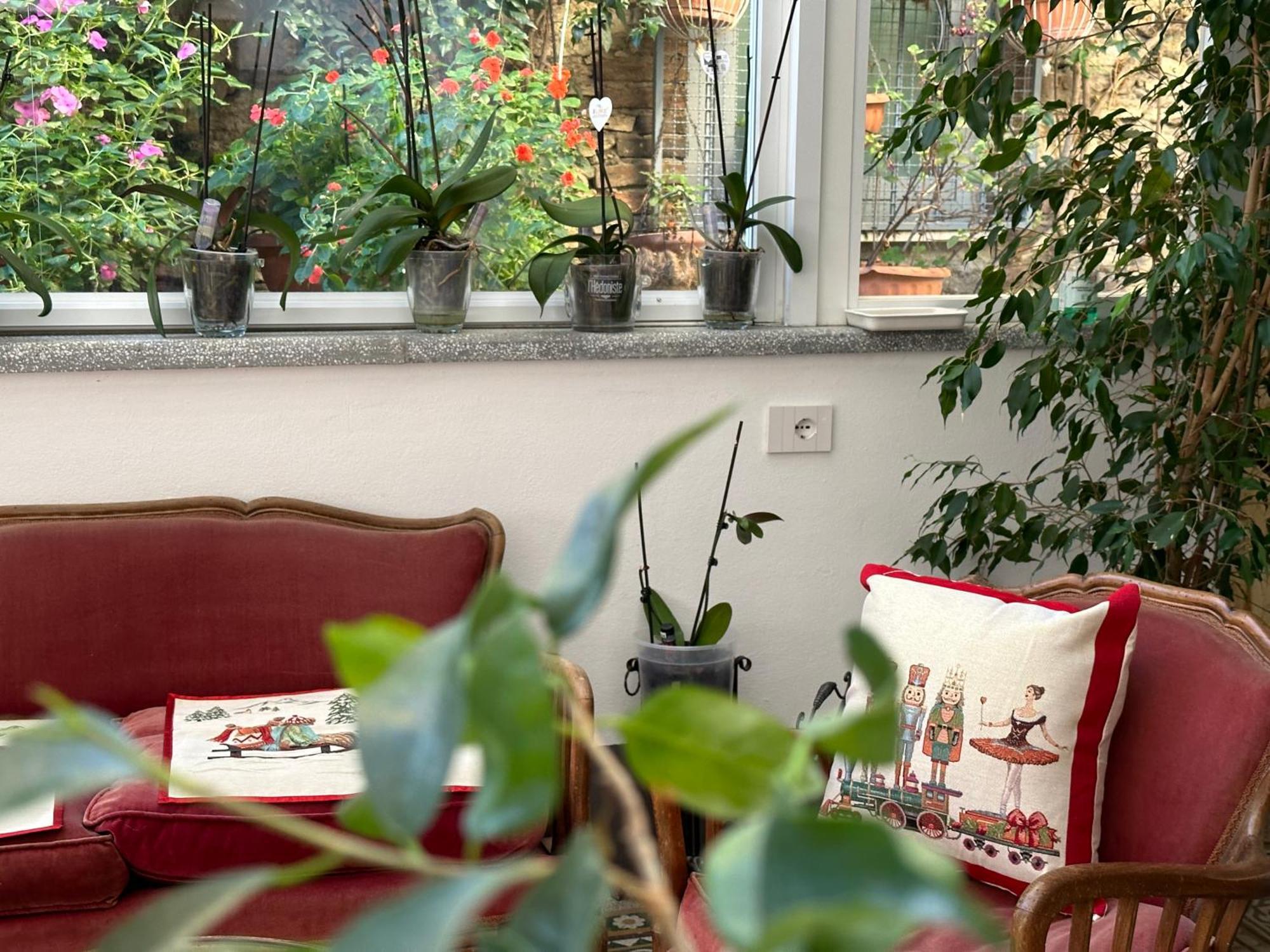 Domus Socolatae Residenza D'Epoca Charming B&B - Adults Only Follonica Eksteriør bilde